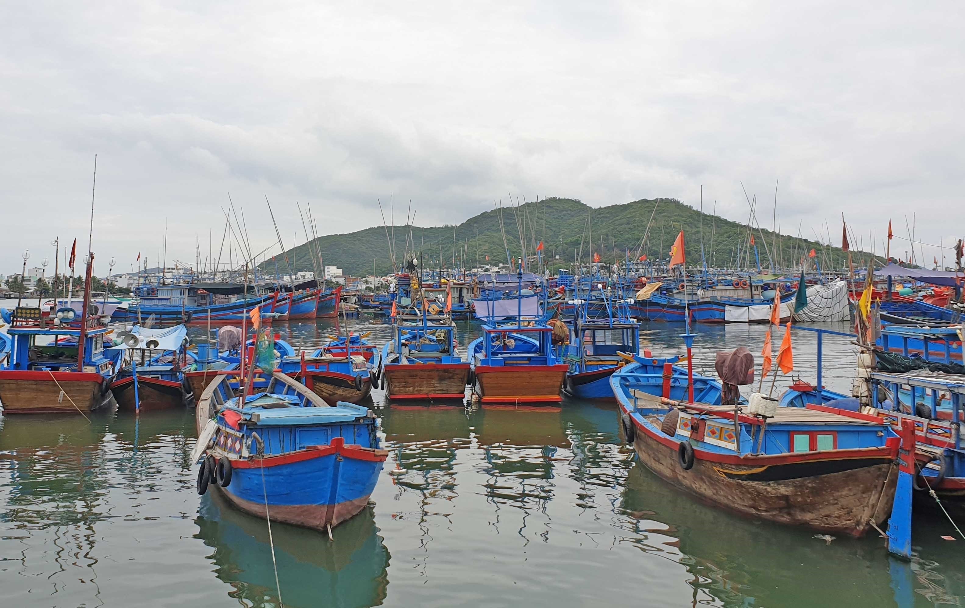 Cảng cá Xẻo Nhàu